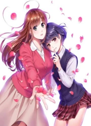 Domestic na Kanojo Especiales