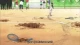 Teekyuu 2 - Episodio 9