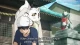 Gingitsune - Episodio 11