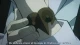 Phi Brain: Kami no Puzzle III - Episodio 21