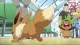 Pokemon XY - Episodio 89