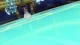Pokemon XY - Episodio 91
