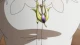 Toaru Hikushi e no Koiuta - Episodio 12