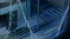 Darker than Black: Ryuusei no Gemini - Episodio 12