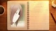 Isshuukan Friends Specials - Episodio 2