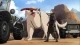 La Leyenda de Korra: Libro 3 - Episodio 10