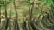 Blood+ - Episodio 50