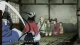 Mushibugyou (2014) - Episodio 1
