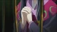 Tsubasa Chronicle: Tori Kago no Kuni no Himegimi - Episodio 1