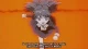 Neon Genesis Evangelion: Death & Rebirth - Episodio 1