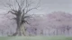 Da Capo II Second Season - Episodio 13