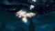 Trinity Blood - Episodio 24