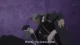 Druaga no Tou: the Sword of Uruk - Episodio 10
