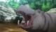 Kiseijuu: Sei no Kakuritsu - Episodio 24