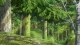 Sanzoku no Musume Ronja - Episodio 23