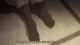 Mushishi Zoku Shou 2 - Episodio 10
