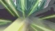 Futari wa Precure: Splash☆Star - Episodio 49