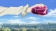 Heartcatch Precure! Movie: Hana no Miyako de Fashion Show... Desu ka!? - Episodio 1