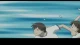 Azumanga Daiou - Episodio 28
