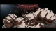 Grappler Baki - Episodio 22