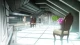 Aldnoah.Zero 2 - Episodio 8