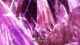 Dog Days'' - Episodio 11