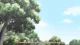 Tamayura - Episodio 2