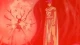 Blue Seed - Episodio 25