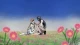 Gensoumaden Saiyuuki - Episodio 49