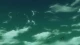 Sentou Yousei Yukikaze - Episodio 2
