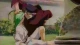 Photon - Episodio 4