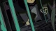 Seikai no Senki - Episodio 11