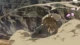 Koukaku no Regios - Episodio 24