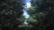 Overlord - Episodio 12
