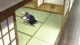 Hetalia: The World Twinkle - Episodio 13