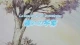 To Heart - Episodio 12