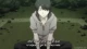 Owarimonogatari - Episodio 8