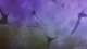 K: Return of Kings - Episodio 12