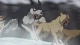 Ginga Densetsu Weed - Episodio 22