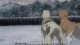 Ginga Densetsu Weed - Episodio 23