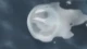 Ginga Densetsu Weed - Episodio 25