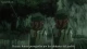 Gosick - Episodio 24
