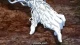 D.Gray-man Hallow - Episodio 9
