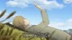 Natsume Yuujinchou Go - Episodio 8