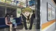 Bungou Stray Dogs 2nd Season - Episodio 13