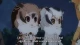 Kemono Friends - Episodio 12
