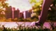 Aho Girl - Episodio 12