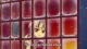 Cinderella Girls Gekijou 2nd Season - Episodio 11