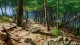 Yama no Susume: Third Season - Episodio 11