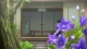 Tsurune: Kazemai Koukou Kyuudoubu - Episodio 11